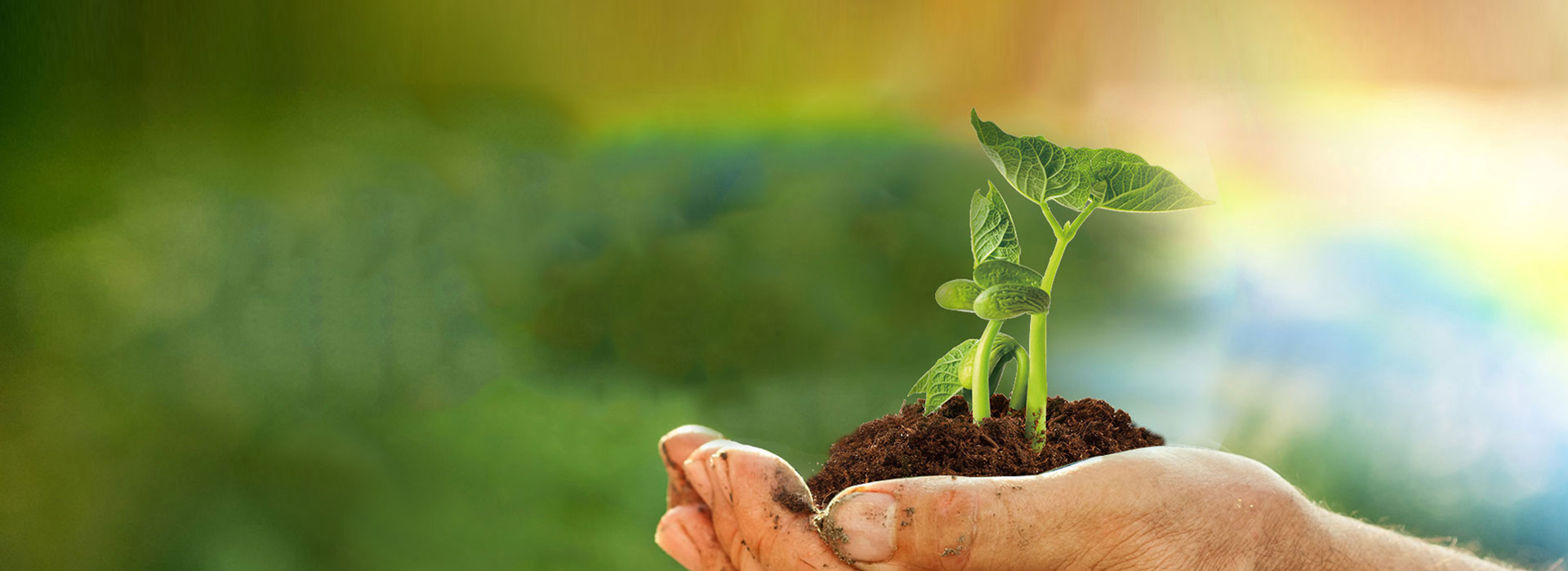 ÔÆ¶¥¹ú¼Ê¡¤(Öйú)Ψһ¹Ù·½ÍøÕ¾