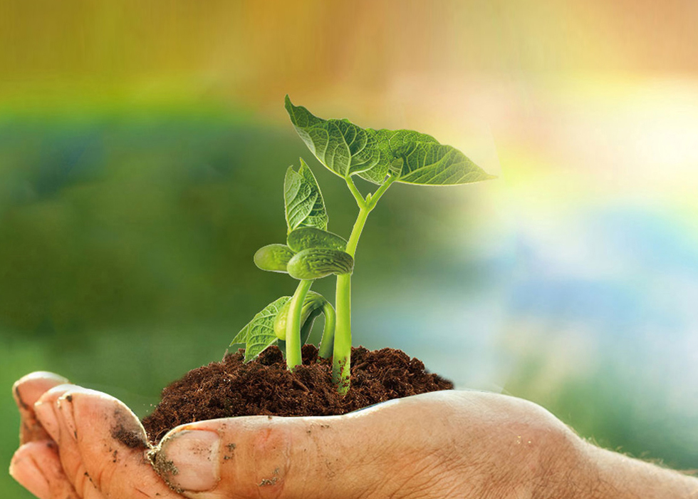 ÔÆ¶¥¹ú¼Ê¡¤(Öйú)Ψһ¹Ù·½ÍøÕ¾