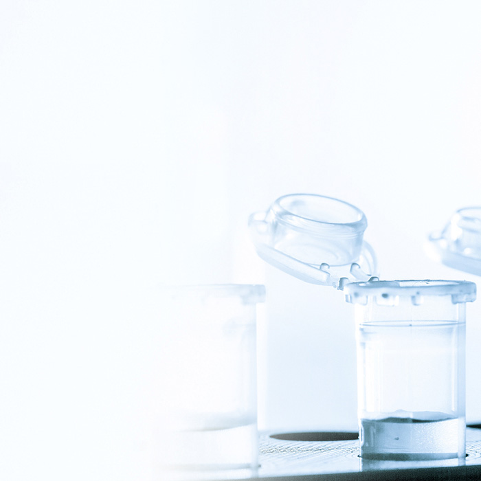 ÔÆ¶¥¹ú¼Ê¡¤(Öйú)Ψһ¹Ù·½ÍøÕ¾