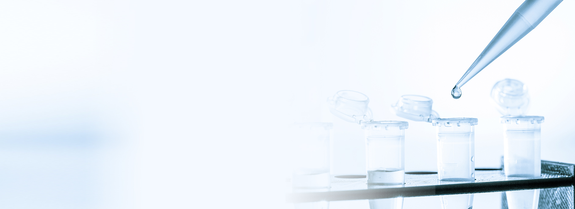 ÔÆ¶¥¹ú¼Ê¡¤(Öйú)Ψһ¹Ù·½ÍøÕ¾